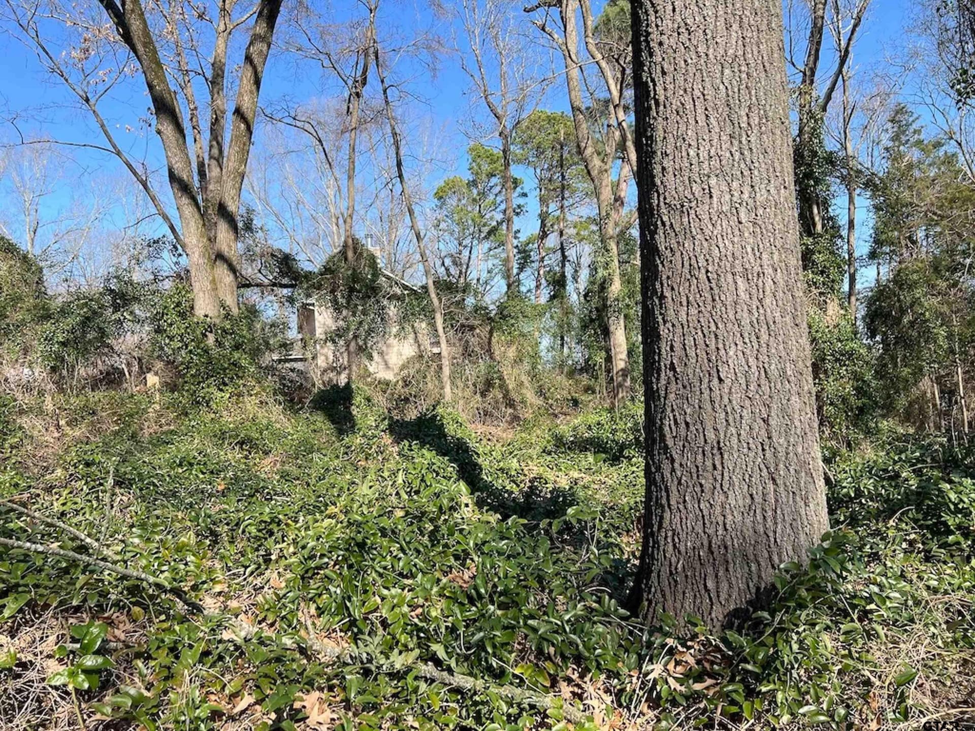 0.91 acres in Franklin County - photo 9
