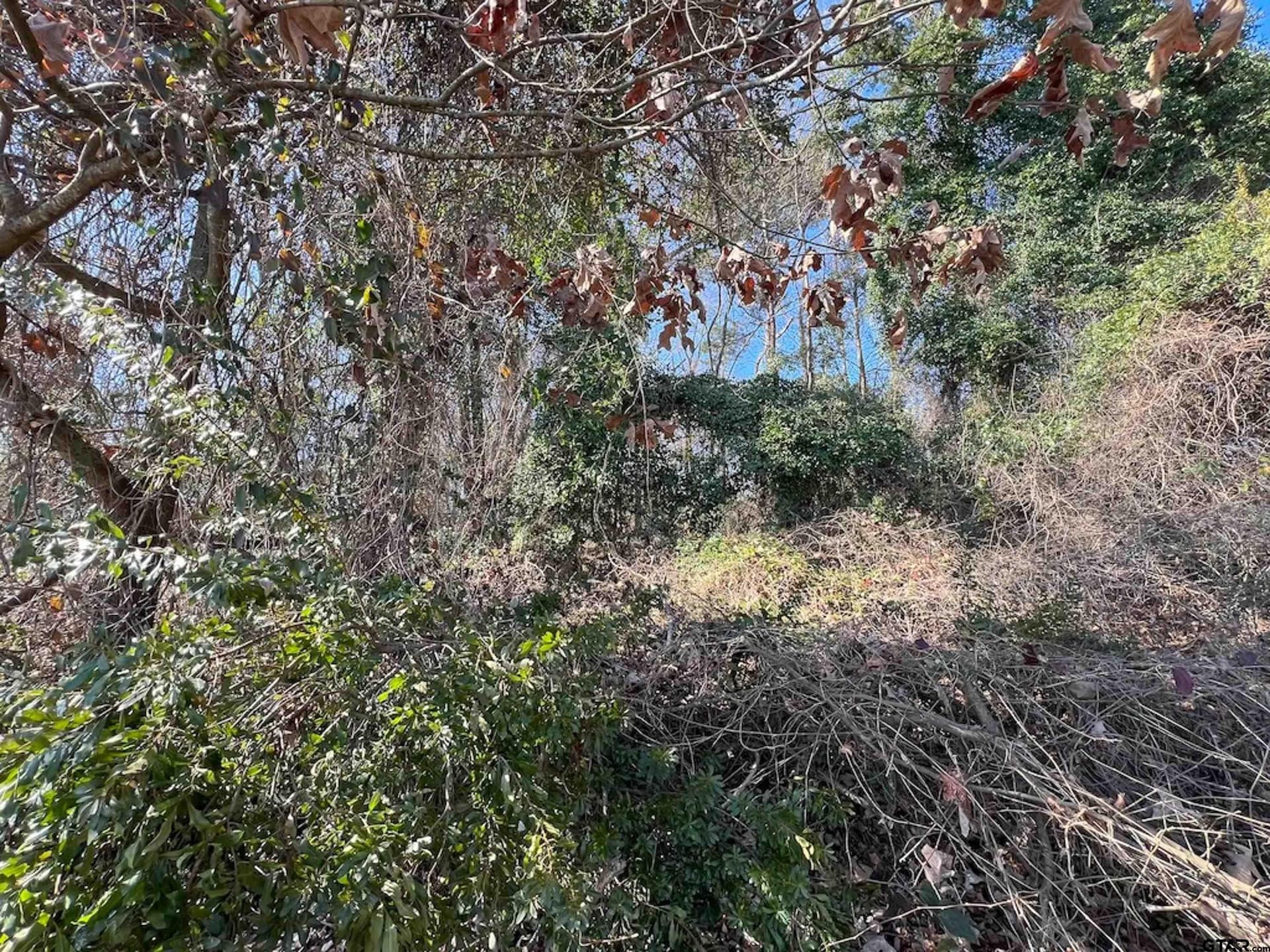 0.91 acres in Franklin County - photo 7