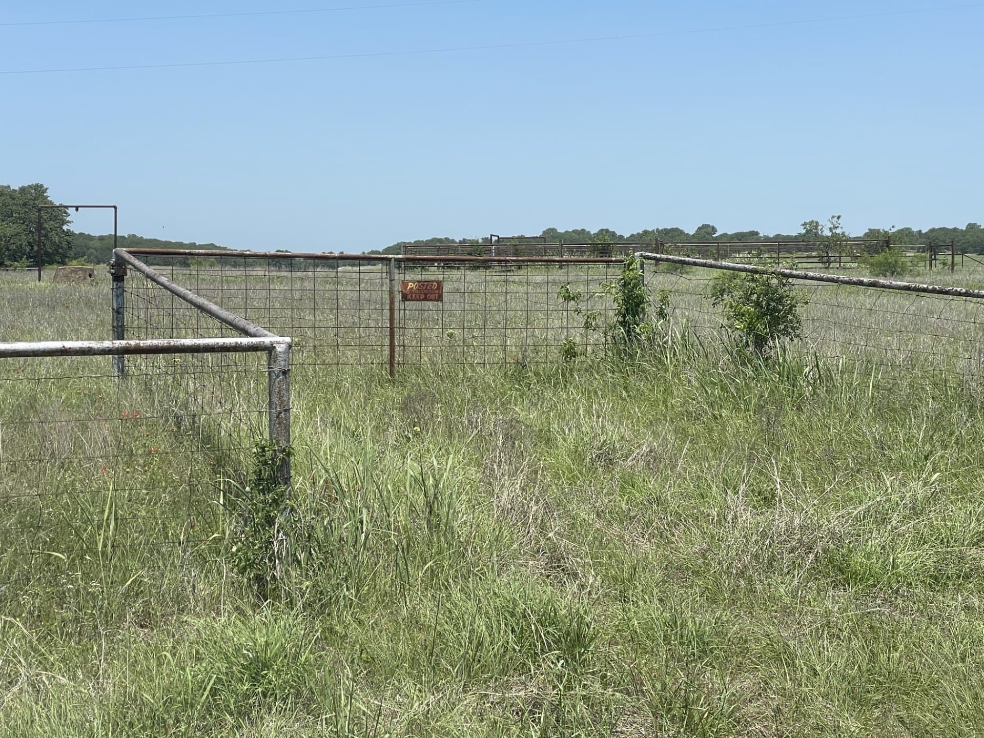 127 acres in Montague County gallery image 4