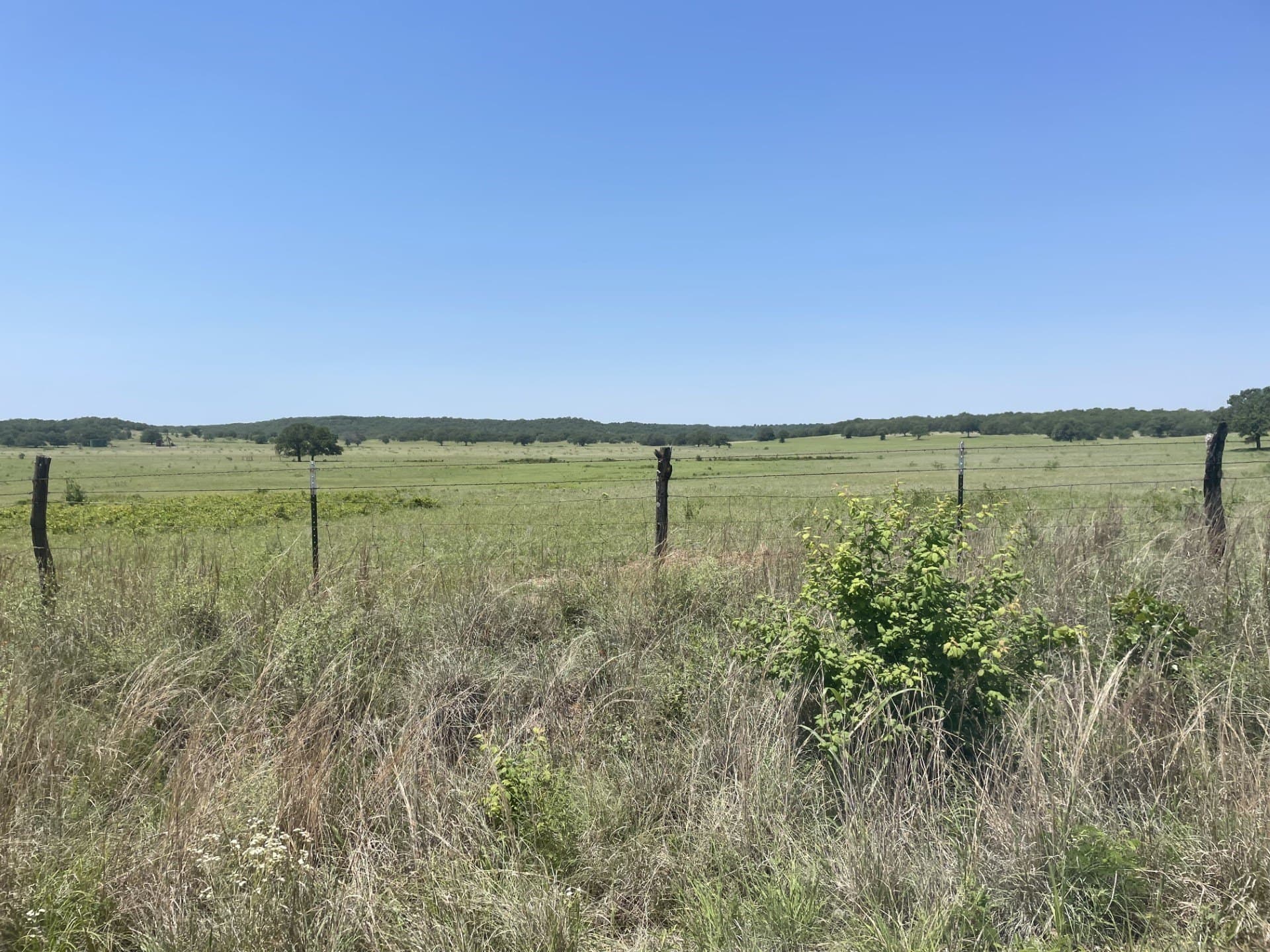 127 acres in Montague County featured view