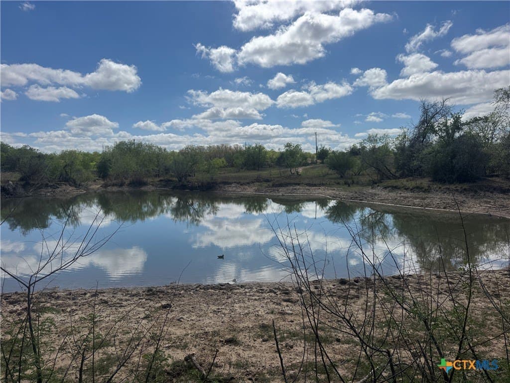 39.8 acres in Guadalupe County