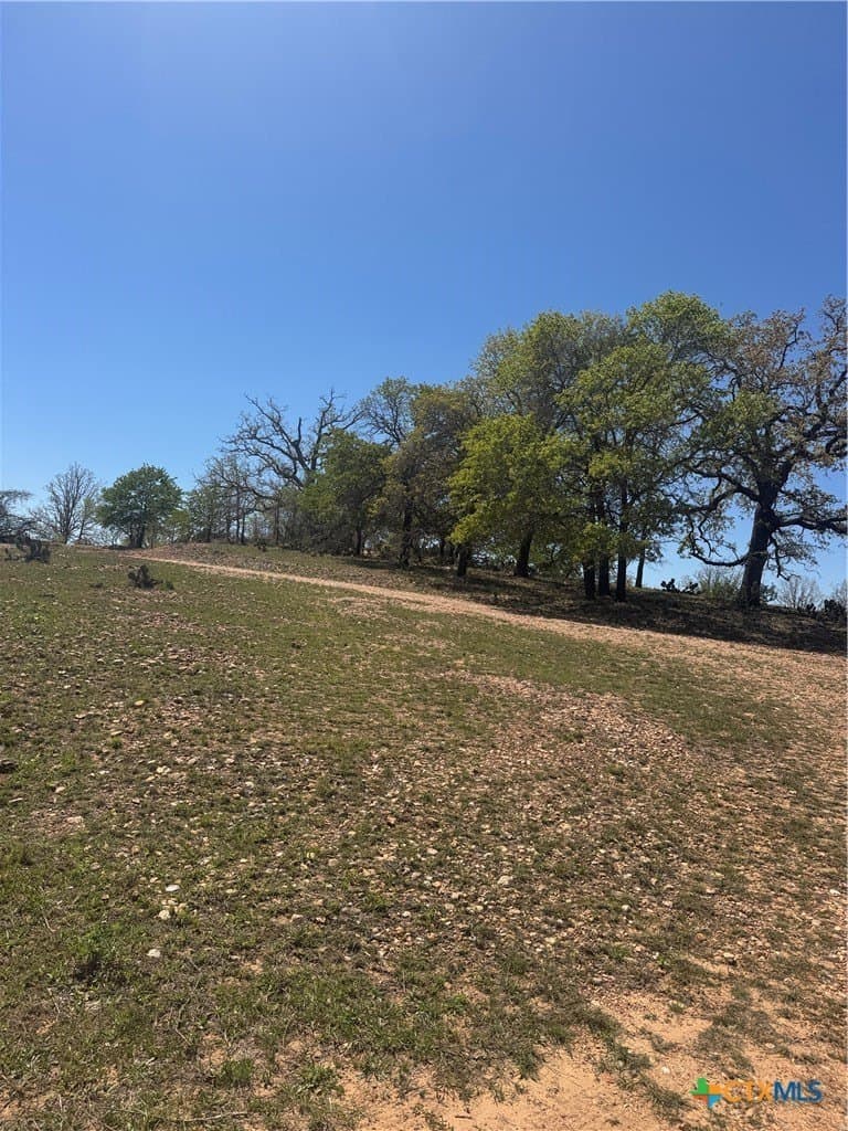 39.8 acres in Guadalupe County gallery image 4