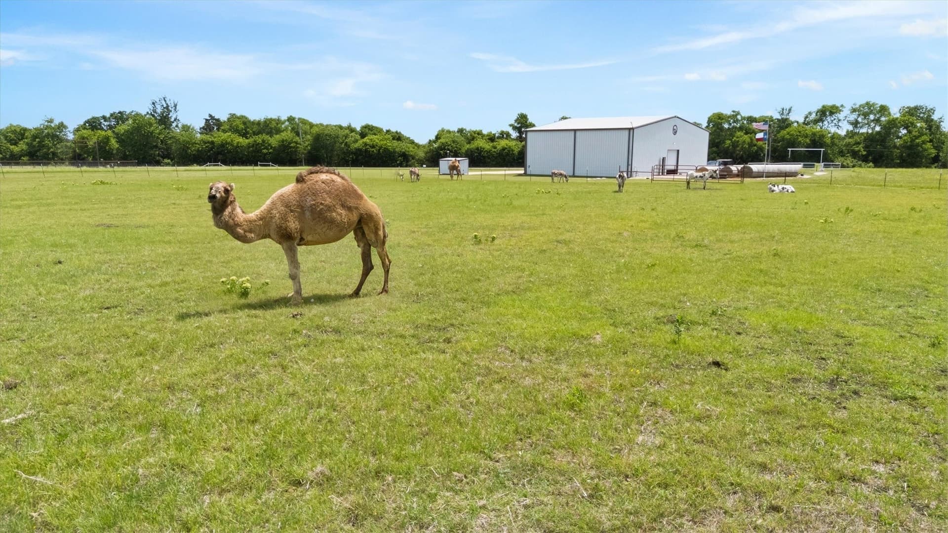 44.36 acres in Collin County - photo 32