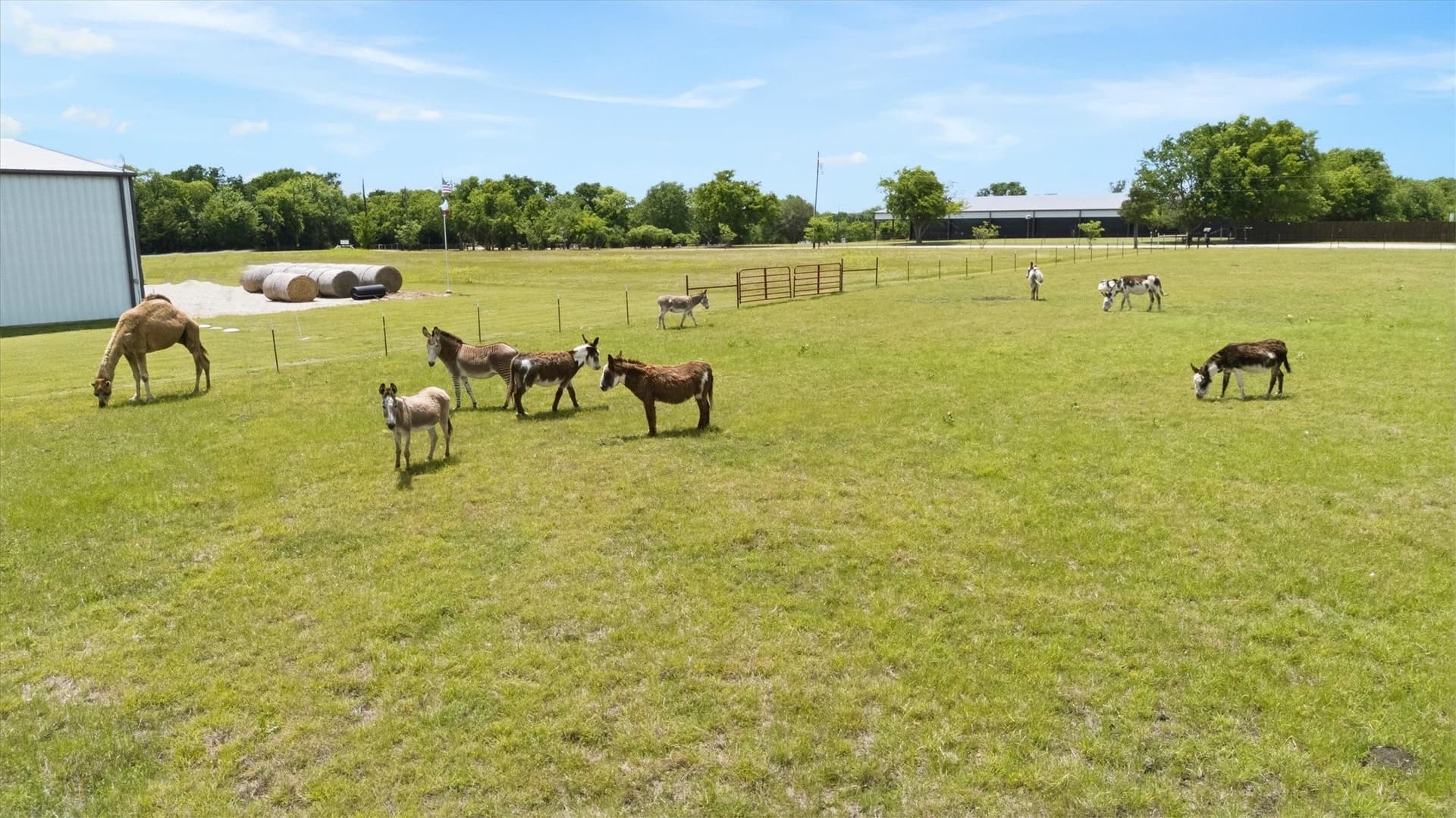 44.36 acres in Collin County - photo 24