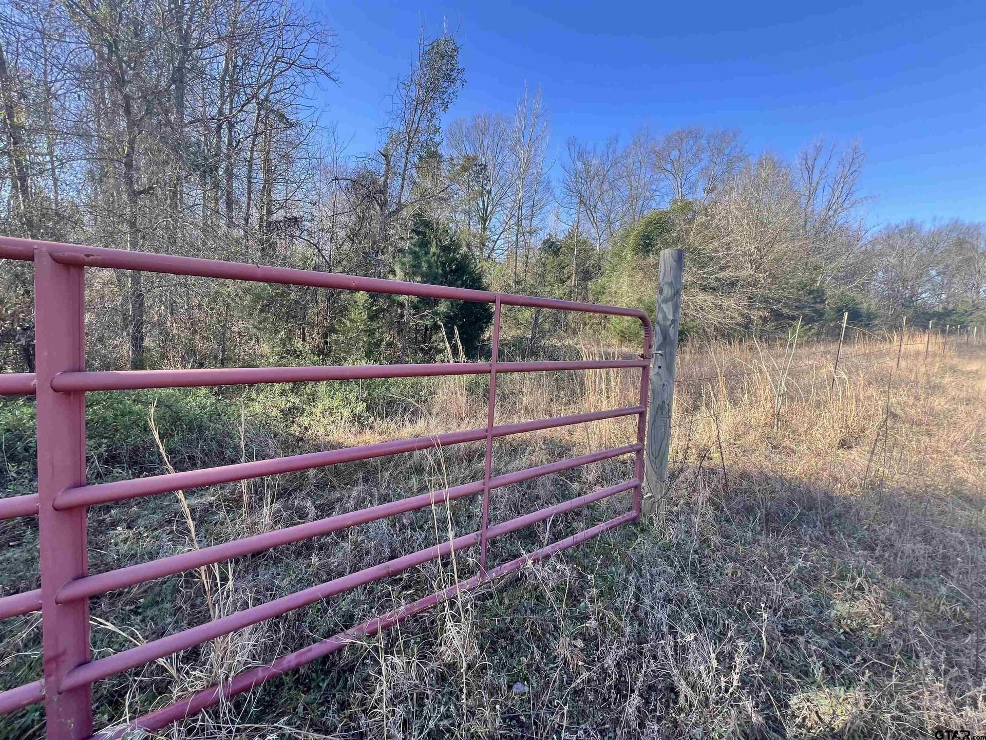 53 acres in Titus County gallery image 4