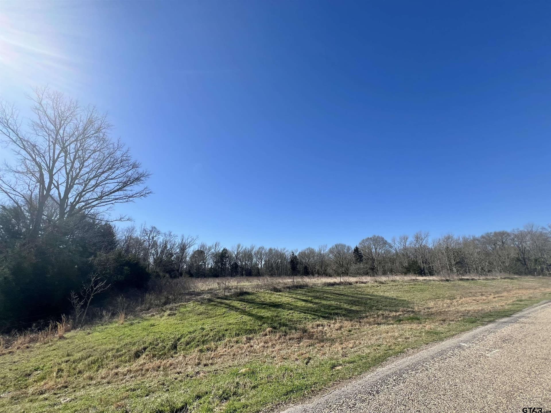 53 acres in Titus County gallery image 2