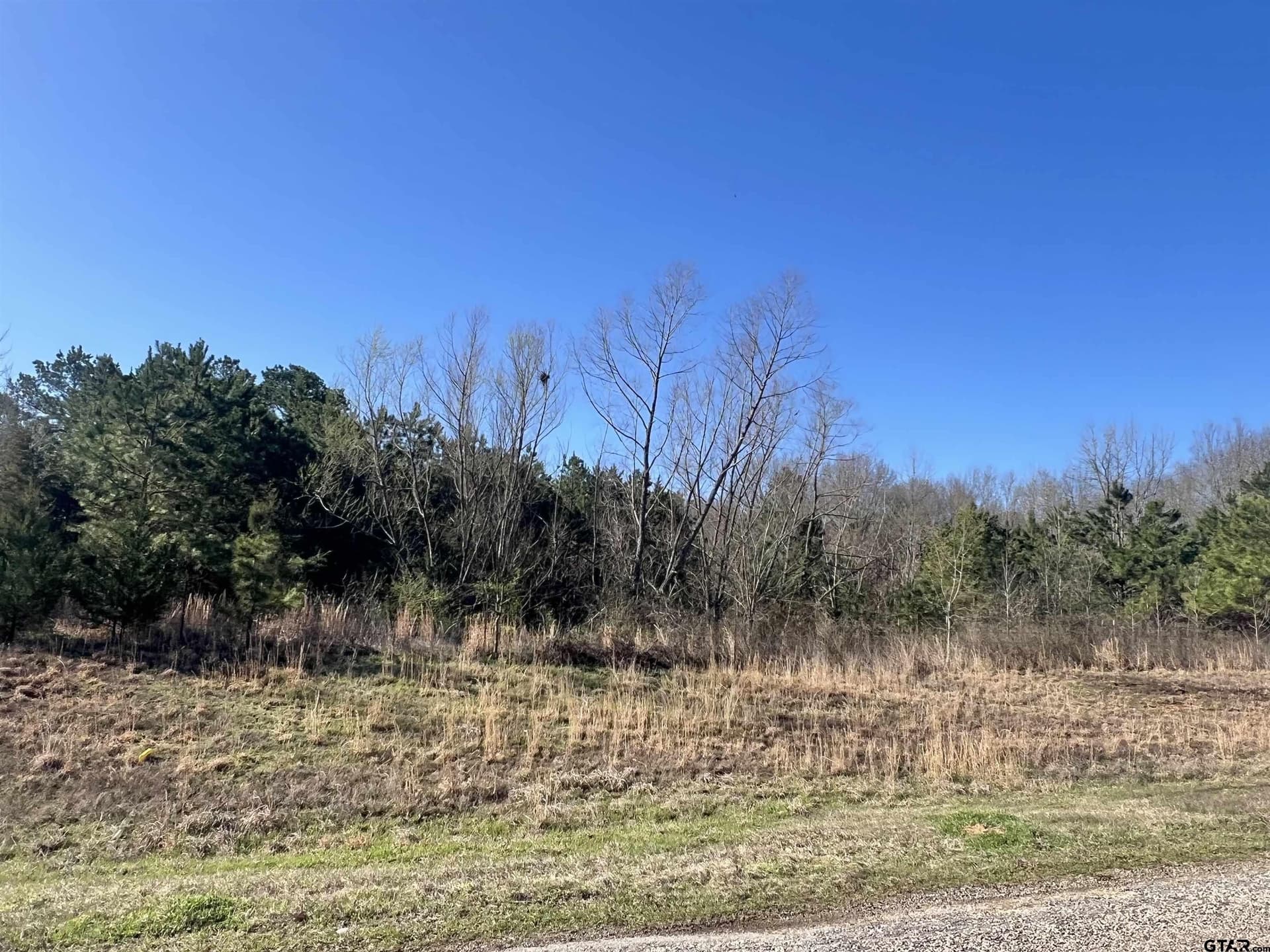 53 acres in Titus County
