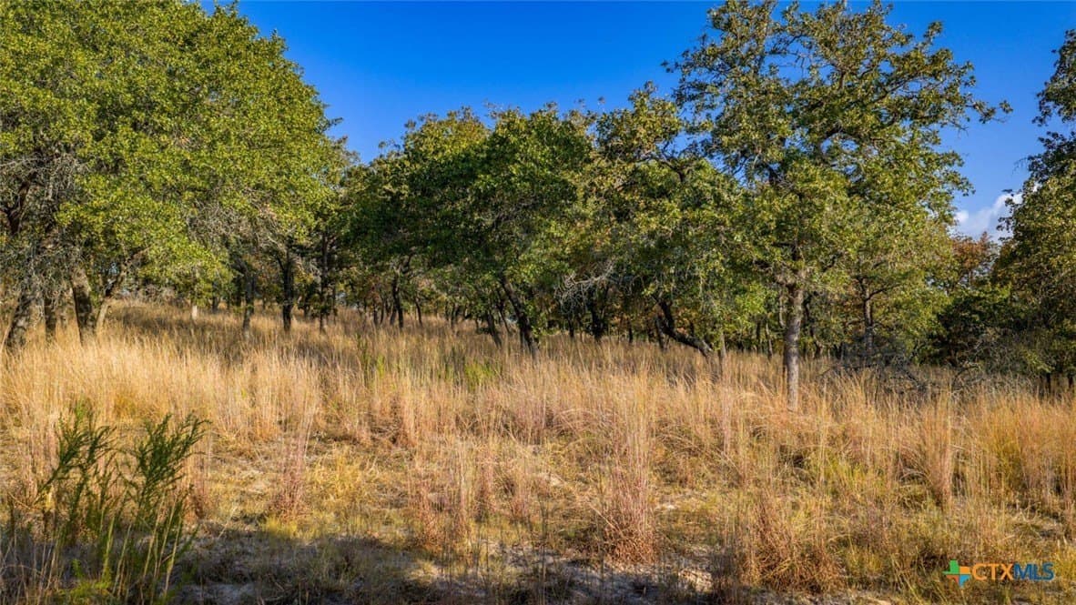 20.02 acres in Guadalupe County - photo 5