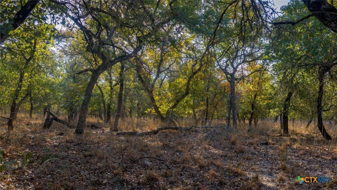 20.02 acres in Guadalupe County - photo 3