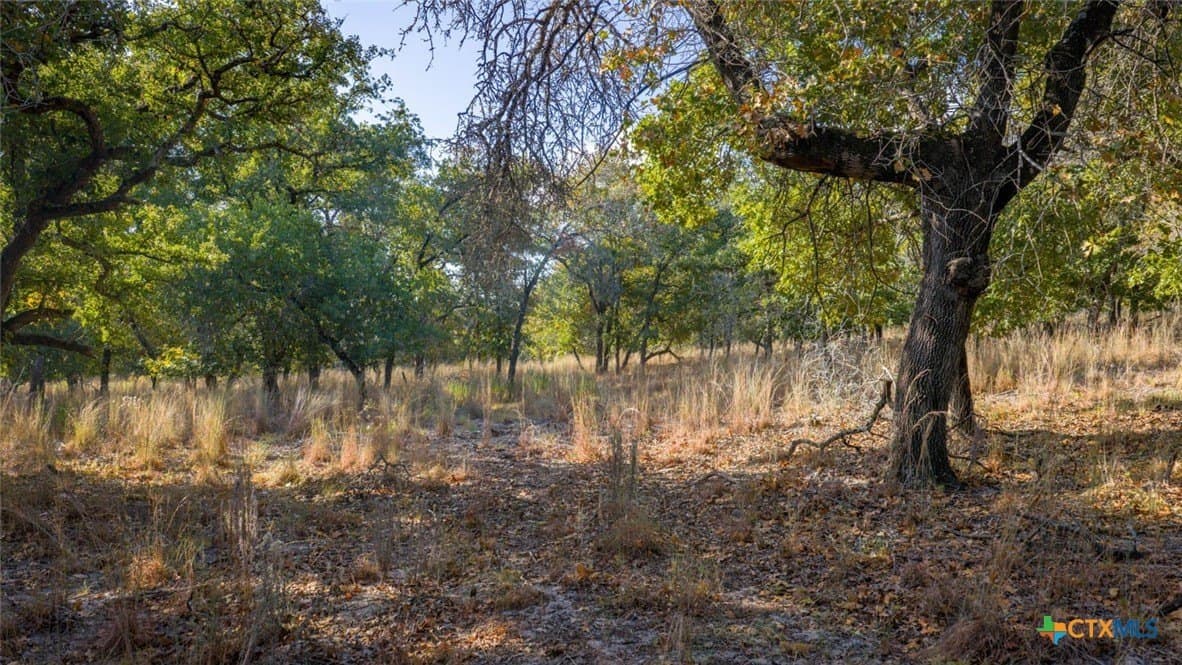 20.02 acres in Guadalupe County - photo 9