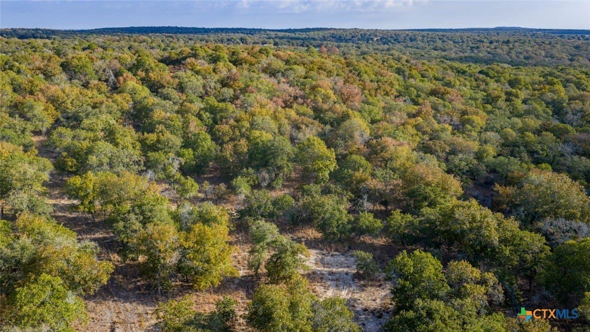 20.02 acres in Guadalupe County - photo 15