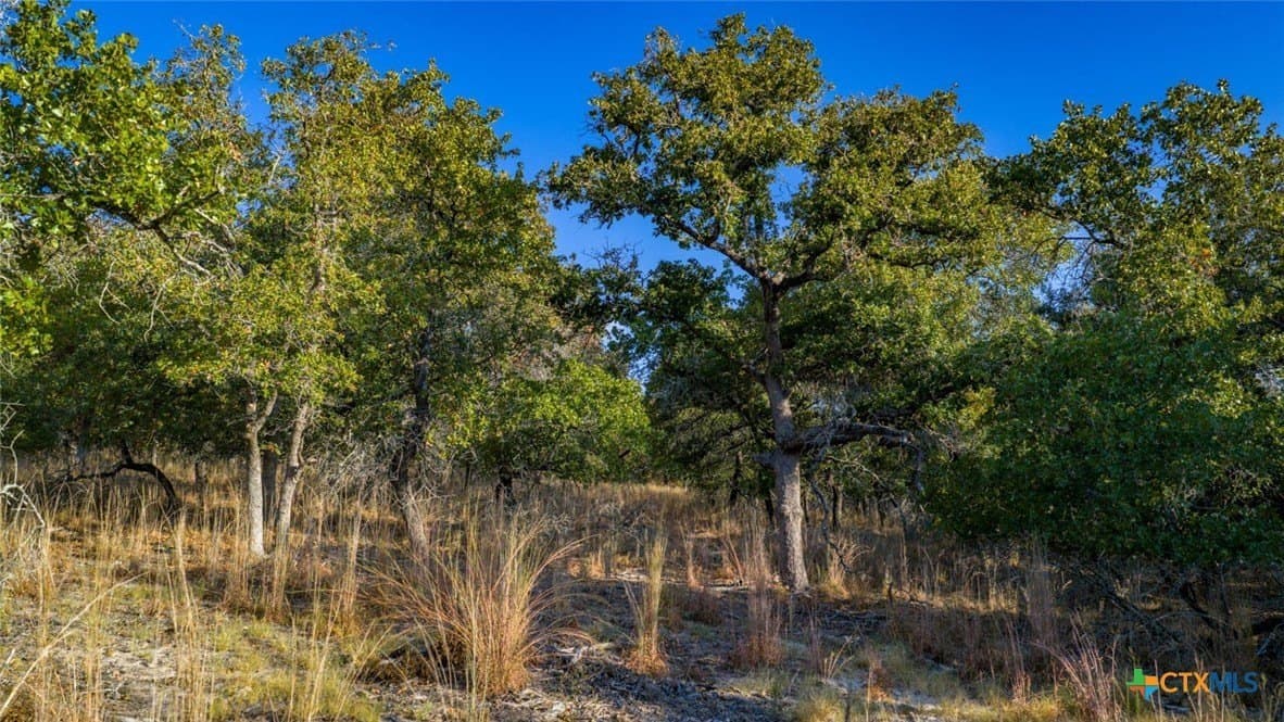 20.02 acres in Guadalupe County - photo 7