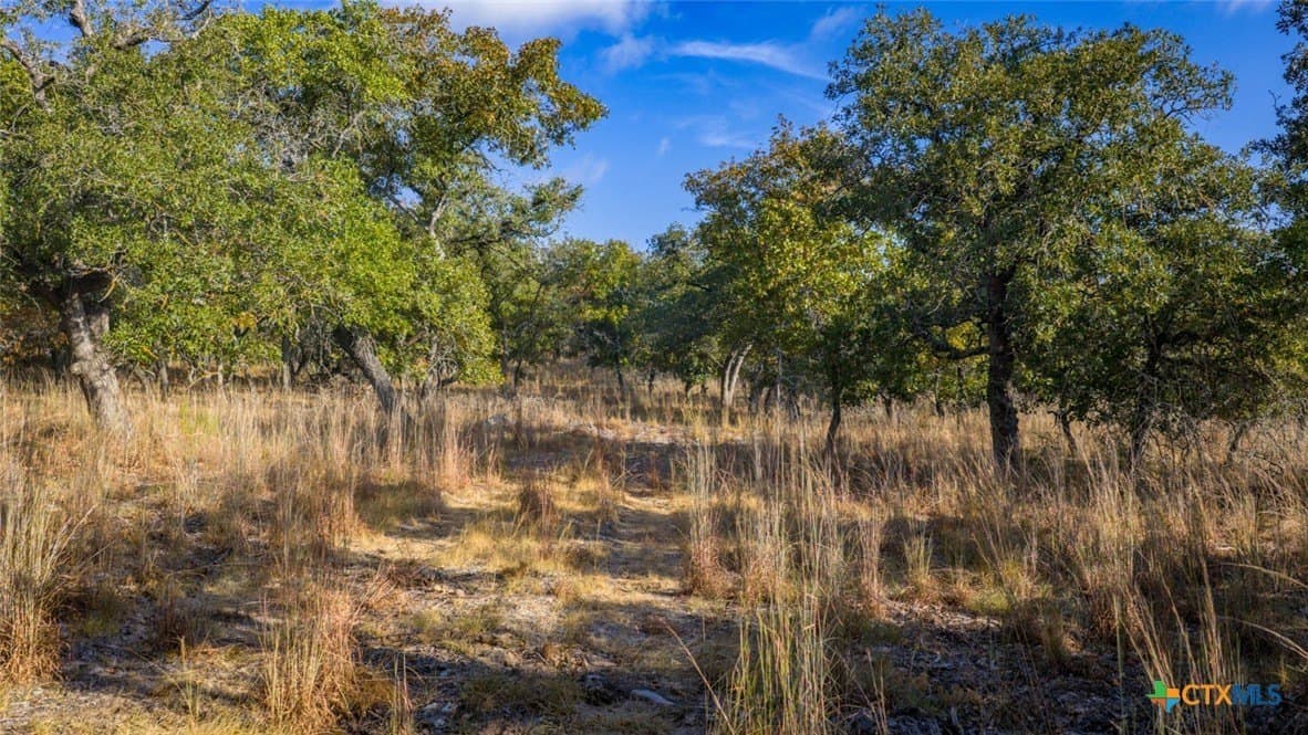 20.02 acres in Guadalupe County - photo 4