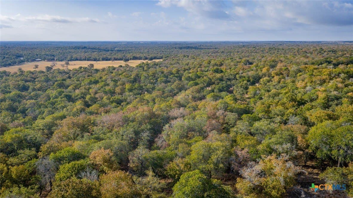 20.02 acres in Guadalupe County - photo 18