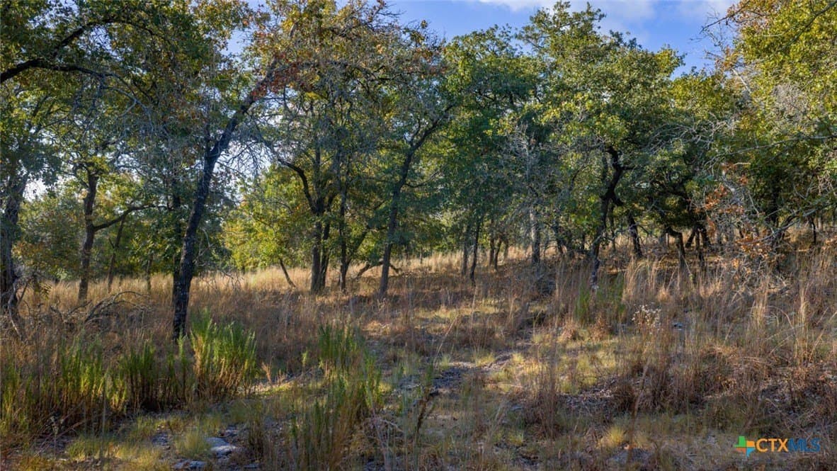 20.02 acres in Guadalupe County - photo 10