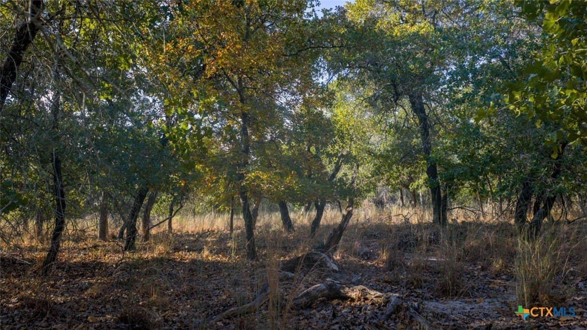 20.02 acres in Guadalupe County - photo 6