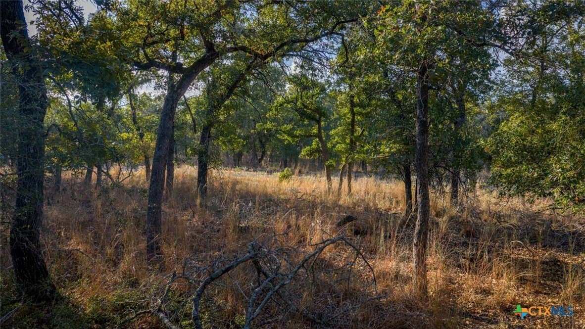 20.02 acres in Guadalupe County - photo 8