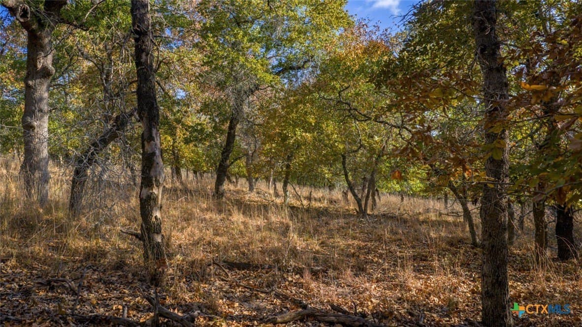 20.02 acres in Guadalupe County - photo 11