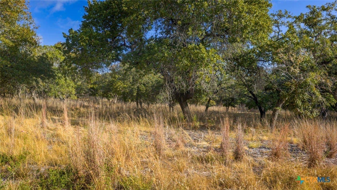 20.02 acres in Guadalupe County - photo 12