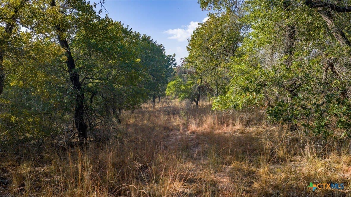 20.02 acres in Guadalupe County - photo 2