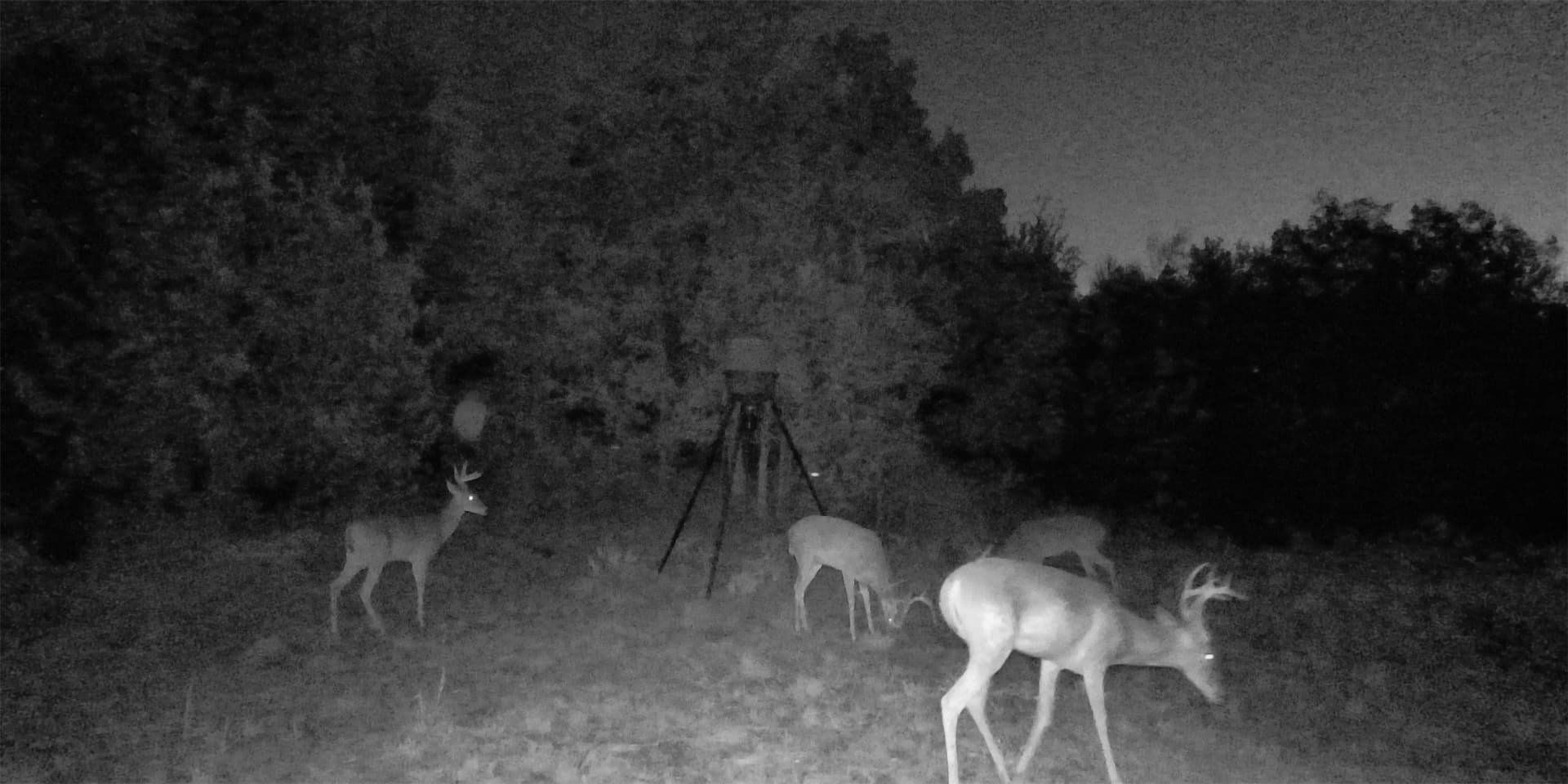 11.75 acres in Hood County - photo 39