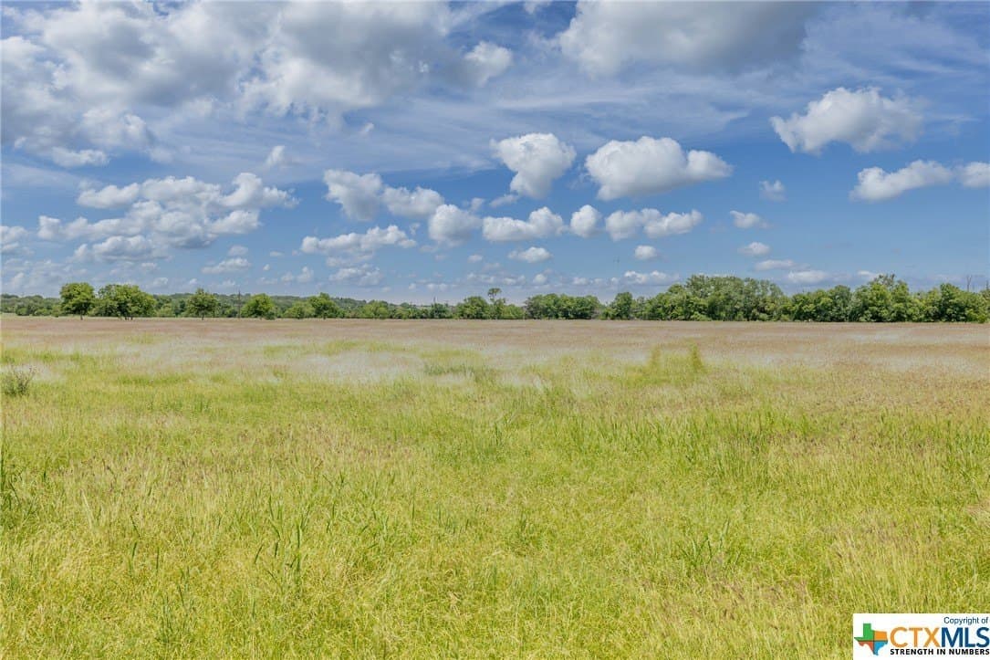 33.96 acres in Gonzales County gallery image 2