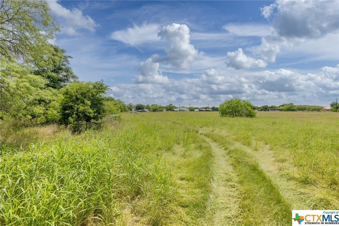 33.96 acres in Gonzales County gallery image 4