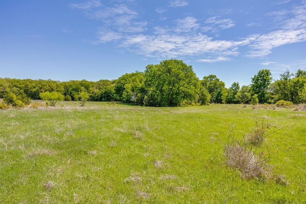 122.3 acres in Parker County gallery image 2