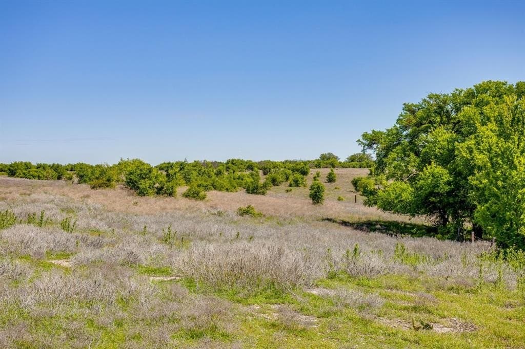 122.3 acres in Parker County gallery image 4