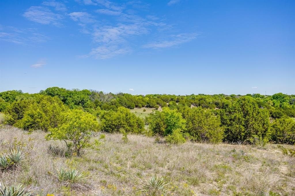 122.3 acres in Parker County featured view
