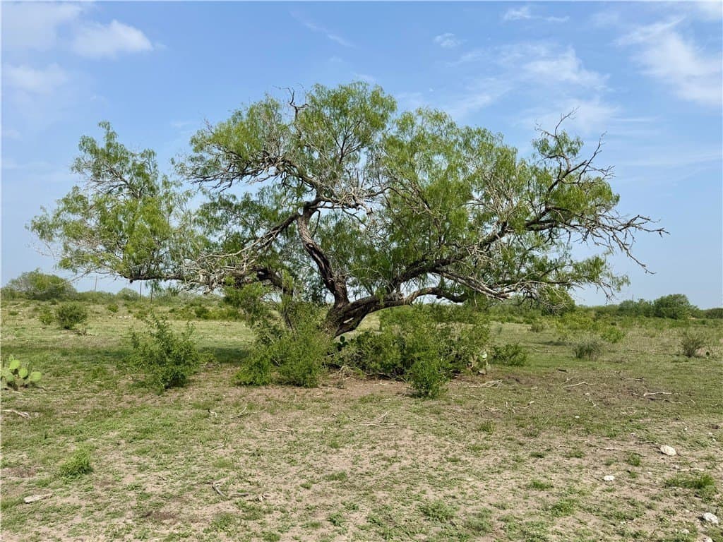 25 acres in Duval County - photo 7
