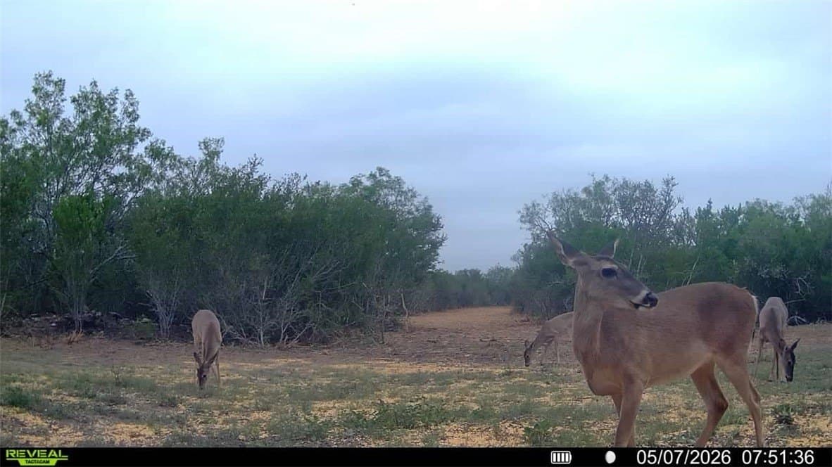25 acres in Duval County - photo 19