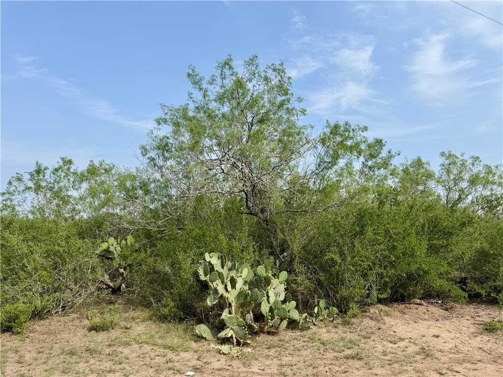 25 acres in Duval County - photo 12