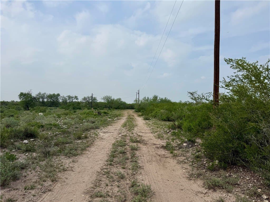 25 acres in Duval County - photo 18