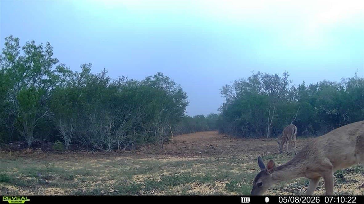 25 acres in Duval County - photo 10