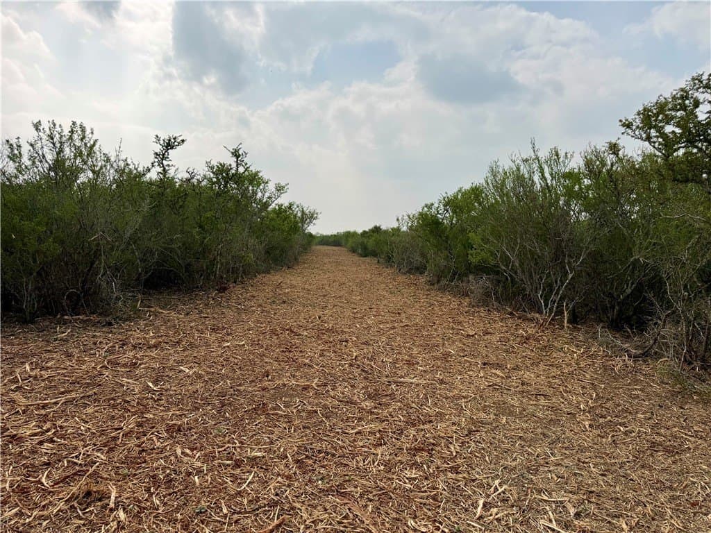 25 acres in Duval County - photo 24