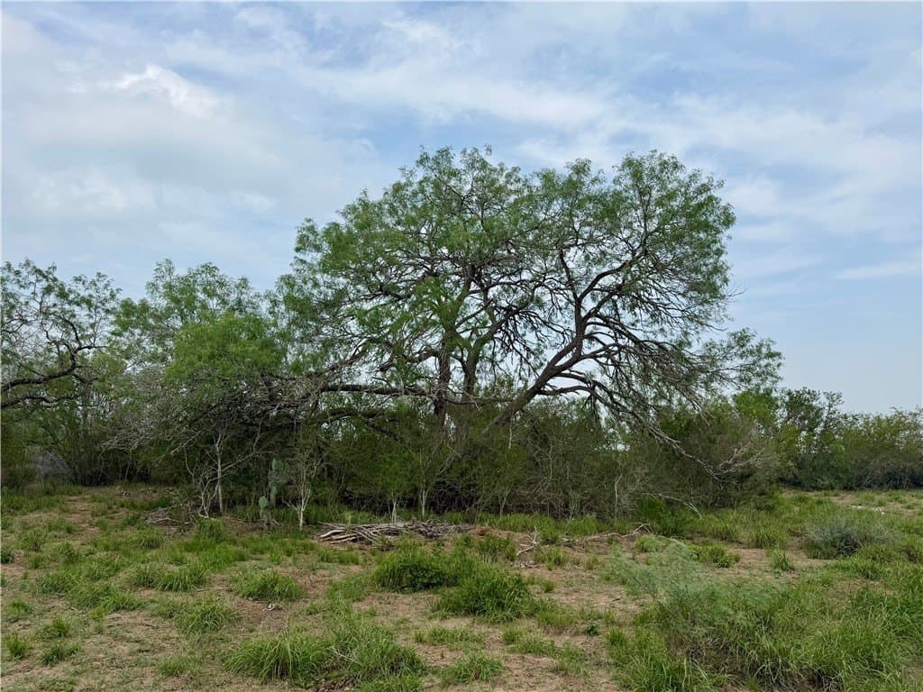 25 acres in Duval County - photo 38