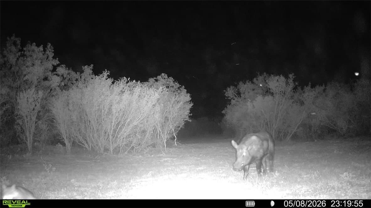25 acres in Duval County - photo 14