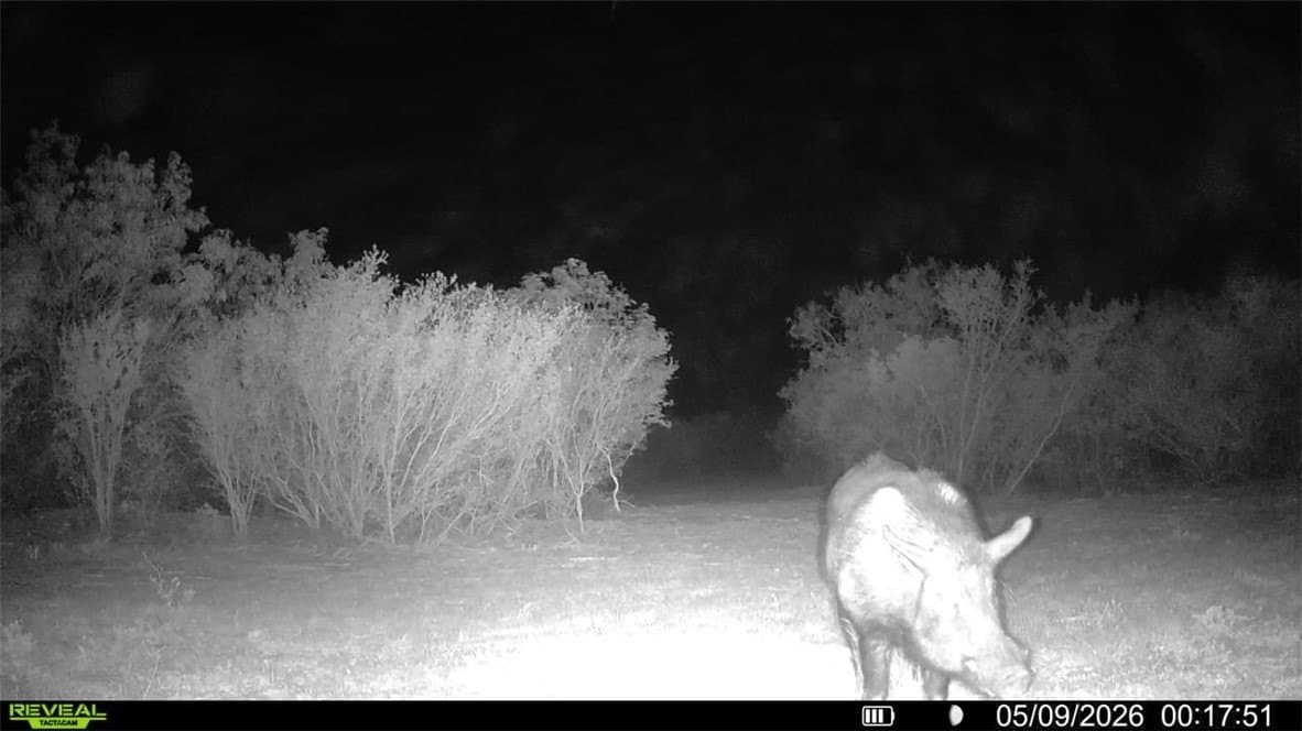 25 acres in Duval County - photo 25