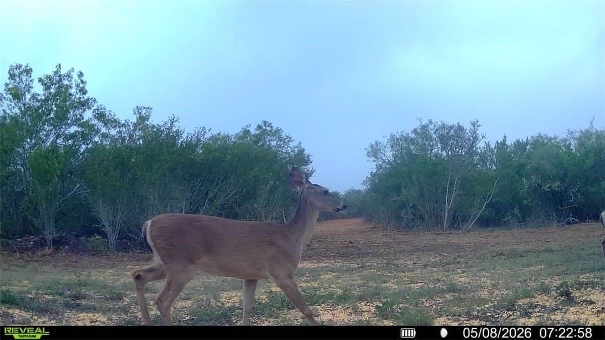 25 acres in Duval County - photo 31