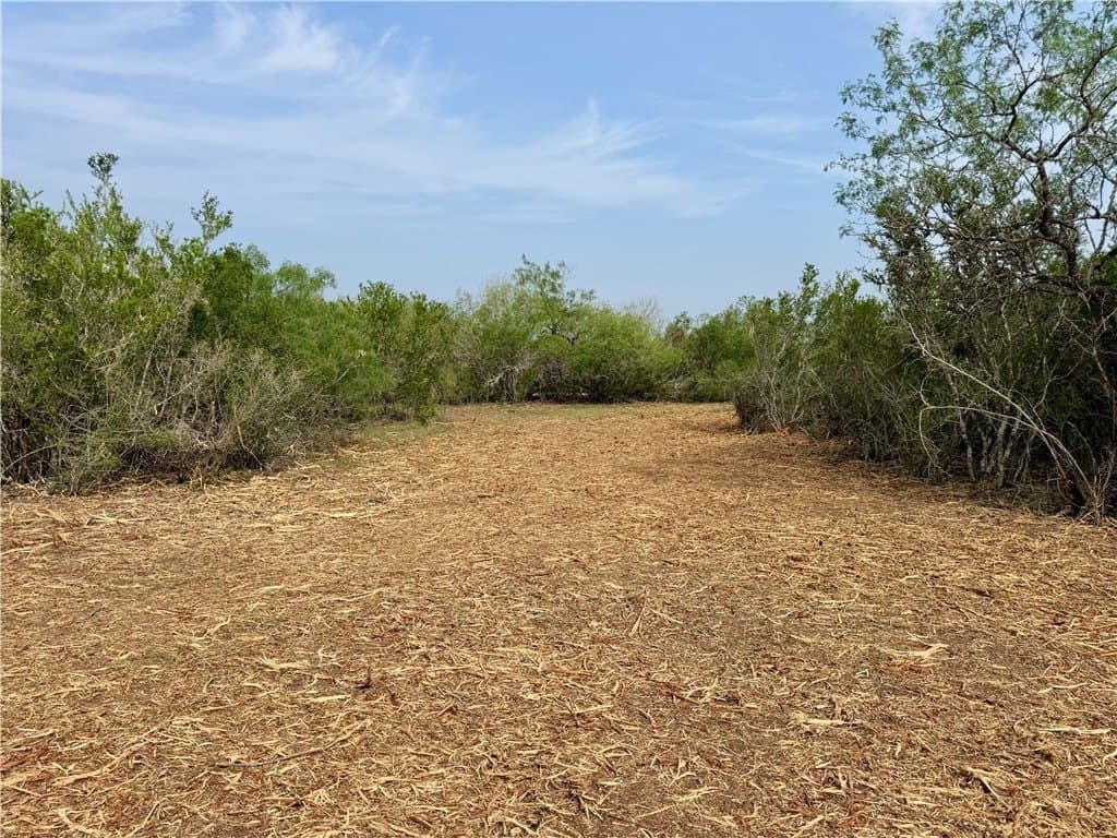 25 acres in Duval County - photo 26