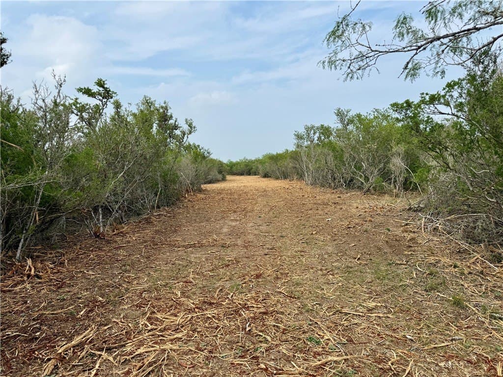 25 acres in Duval County - photo 32