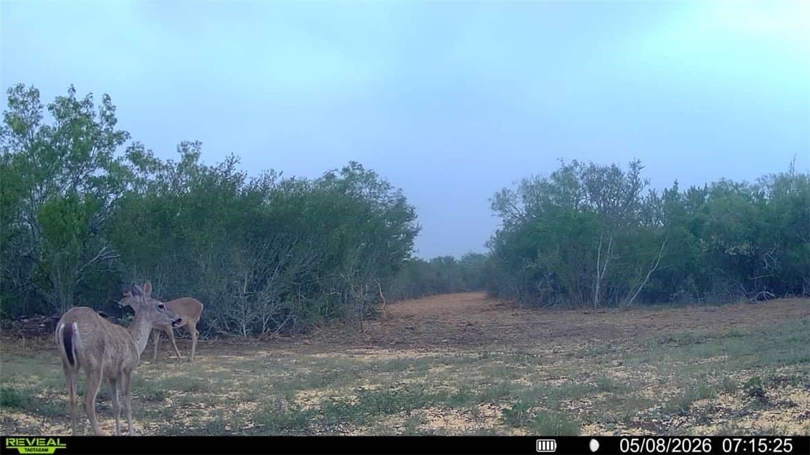 25 acres in Duval County - photo 17