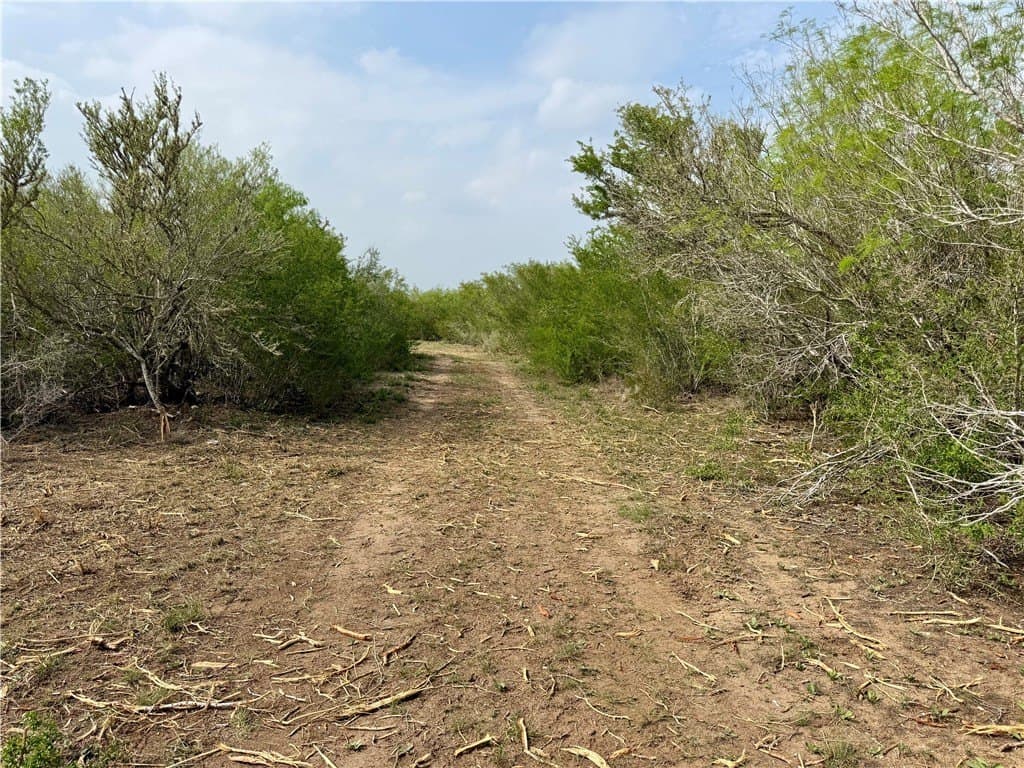 25 acres in Duval County - photo 9