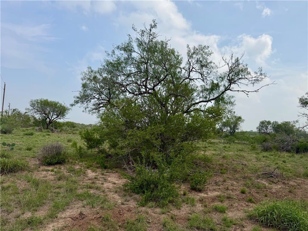 25 acres in Duval County - photo 28