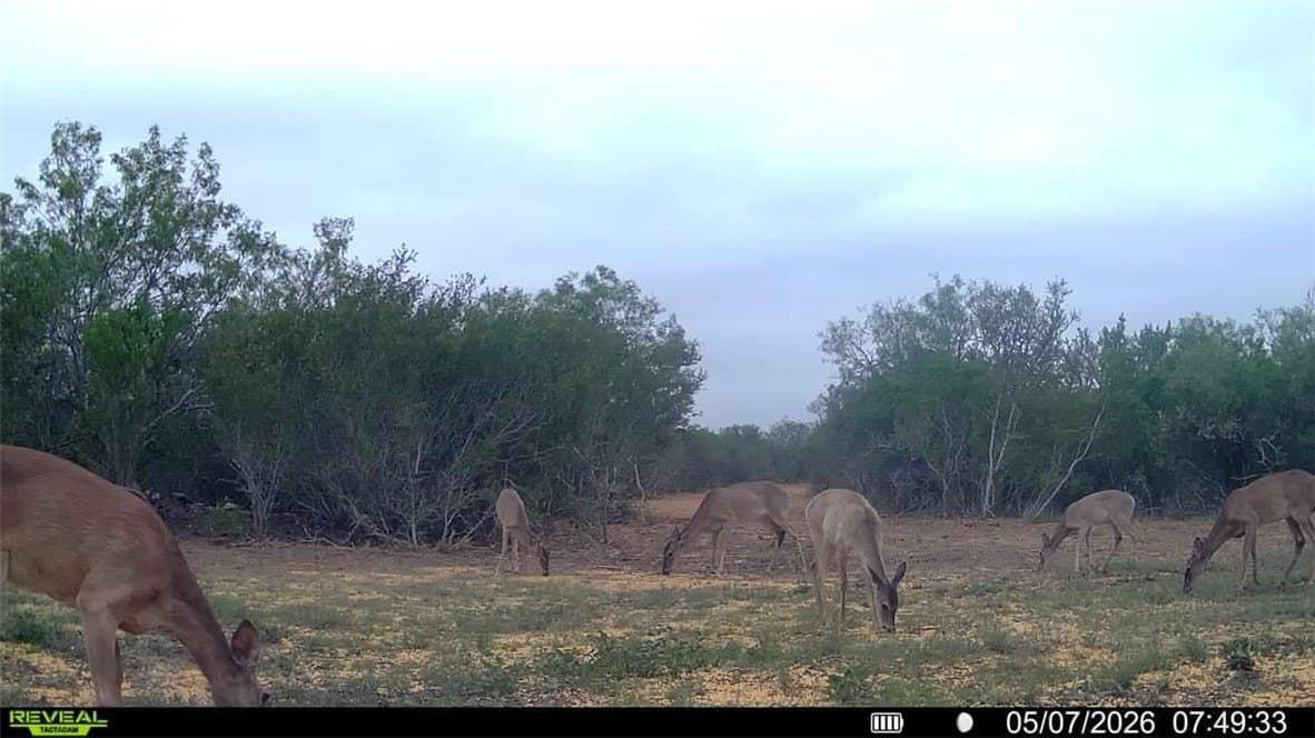 25 acres in Duval County - photo 6