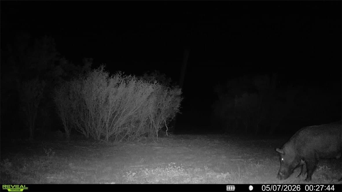 25 acres in Duval County - photo 36