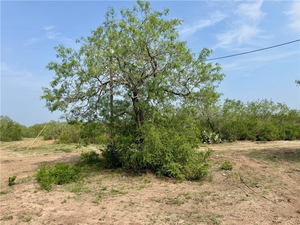 25 acres in Duval County featured view