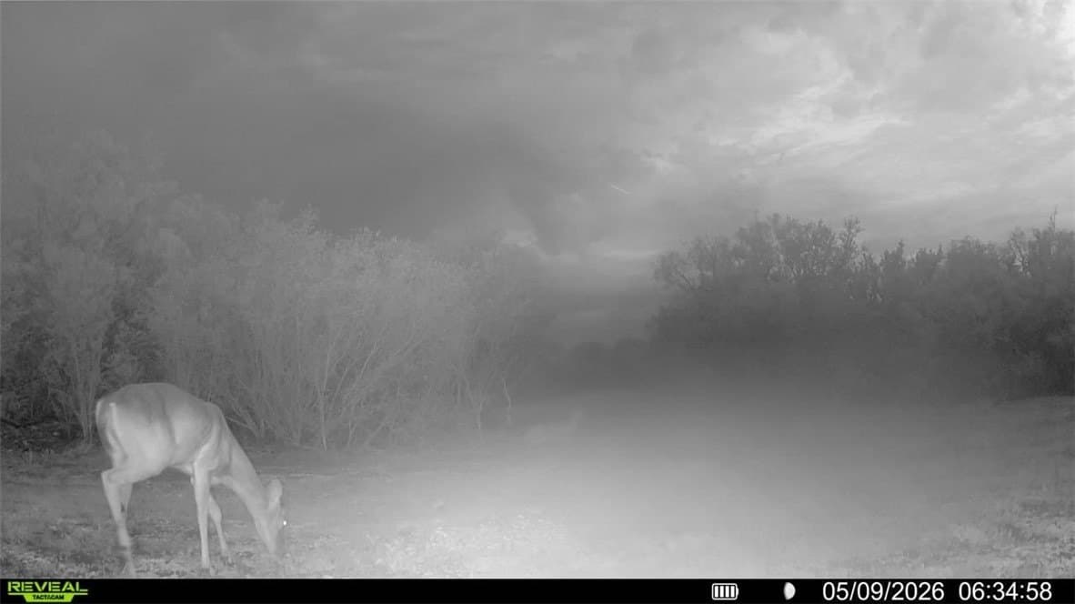 25 acres in Duval County - photo 11