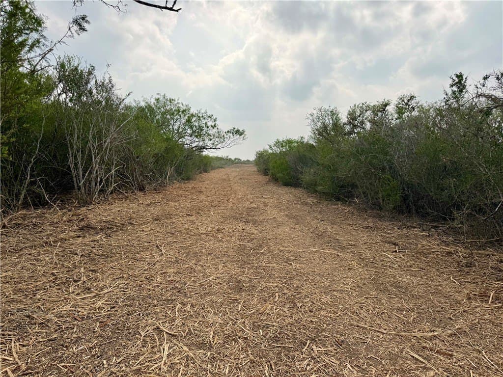 25 acres in Duval County - photo 22